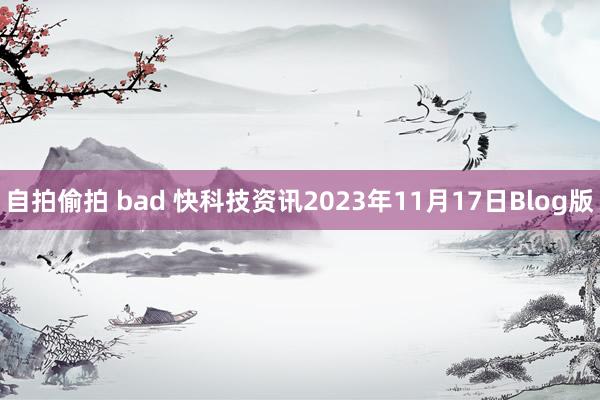 自拍偷拍 bad 快科技资讯2023年11月17日Blog版